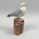 American Herring Gull Bird Carving by Gustave Jansson