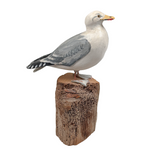 American Herring Gull Bird Carving by Gustave Jansson