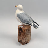 American Herring Gull Bird Carving by Gustave Jansson