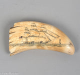 Large Antique Scrimshaw Tooth with U.S. Frigate