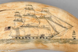Large Antique Scrimshaw Tooth with U.S. Frigate