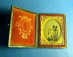 Antique Ambrotype of CHARLIE the Dog