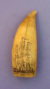 Antique American scrimshaw tooth with ship and farewell.