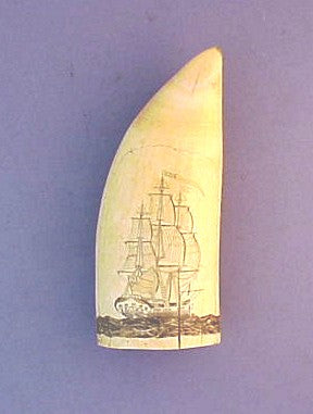 Antique American scrimshaw tooth with ship and sperm whale