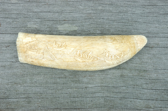 Antique Carved Sperm Whale Tooth