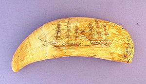 Antique scrimshaw tooth with naval battle scenes