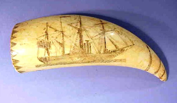Antique scrimshaw tooth with SIDE-WHEELER.