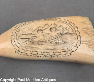 Antique Sperm Whale Tooth by J.A. Bute - HMS Beagle