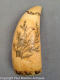 Antique Sperm Whale tooth by the Banknote Engraver