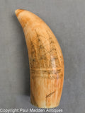 Antique Sperm Whale Tooth with Scrimshaw Ship and Lady