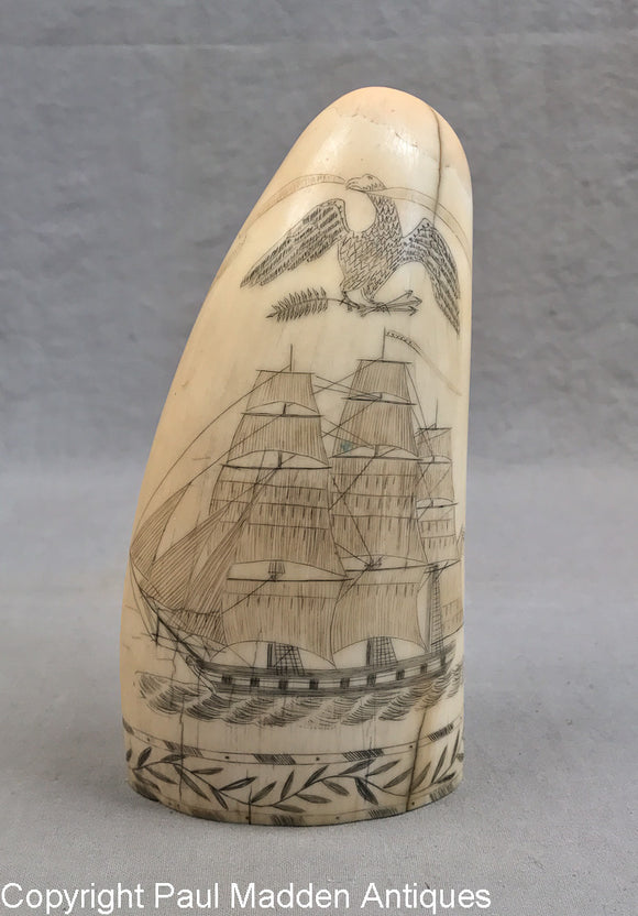Antique Sperm Whale Tooth with Ship & Eagle Scrimshaw