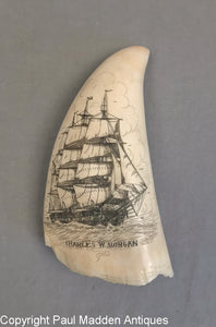 Charles W. Morgan - Vintage Scrimshaw Tooth by William Perry