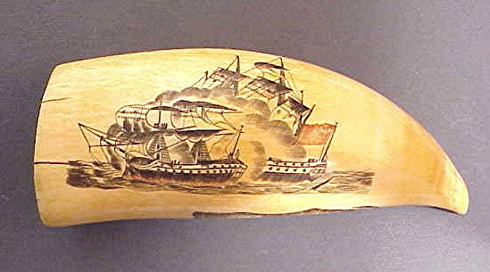Great scrimshaw tooth by the 