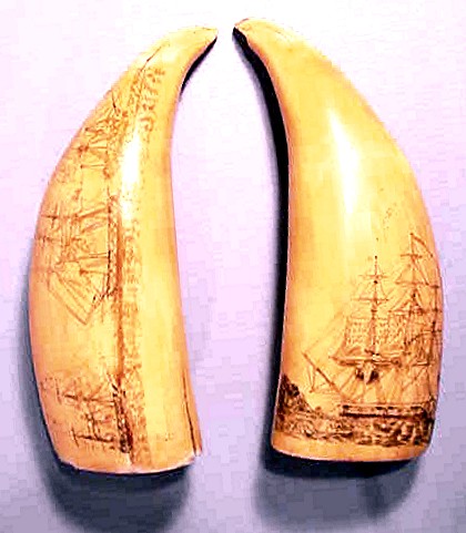 Pair antique American scrimshaw teeth