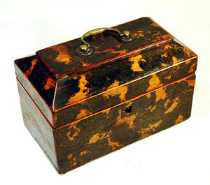 Rare and choice antique painted "tortoise shell" tea caddy