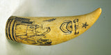 Rare antique scrimshaw MASONIC tooth