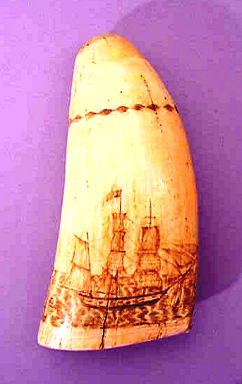 Rare antique scrimshaw tooth with whaling scene