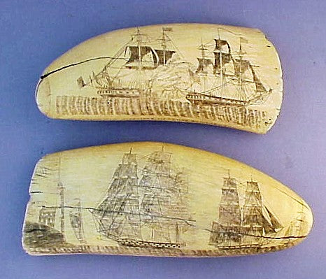 Rare pair of antique American scrimshaw teeth