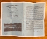 Potted Geraniums Painting by Andrew Shunney