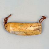 Fijian Tabua Whale's Tooth Necklace