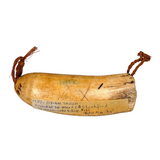 Fijian Tabua Whale's Tooth Necklace