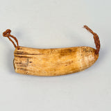 Fijian Tabua Whale's Tooth Necklace