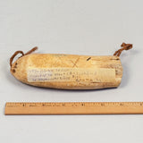 Fijian Tabua Whale's Tooth Necklace