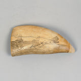Antique Scrimshaw Tooth - Nantucket Sleigh Ride