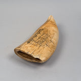 Antique Scrimshaw Tooth - Nantucket Sleigh Ride