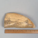 Antique Scrimshaw Tooth - Nantucket Sleigh Ride