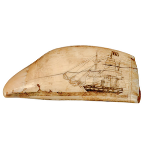 Antique Scrimshaw Tooth with Whaling Scene