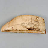 Antique Scrimshaw Tooth with Whaling Scene