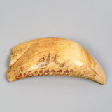 Antique Scrimshaw Tooth with Whaling Scene