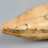 Antique Scrimshaw Tooth with Whaling Scene