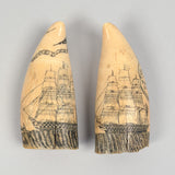 Pair of Antique Scrimshaw Teeth by Samuel W. Tenney
