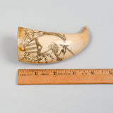 Antique Scrimshaw Tooth - Ship Unicorn 1851