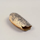 Vintage Scrimshaw Tooth by Lajoie