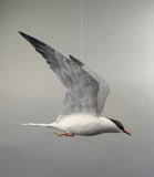 Vintage Life Size Common Tern Bird Carving by Peter Peltz