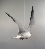 Vintage Life Size Common Tern Bird Carving by Peter Peltz
