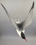Vintage Life Size Common Tern Bird Carving by Peter Peltz