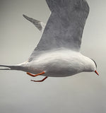 Vintage Life Size Common Tern Bird Carving by Peter Peltz