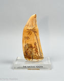 Antique Scrimshaw Sperm Whale Tooth "The Native Tooth"