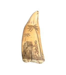 Antique Scrimshaw Sperm Whale Tooth "The Native Tooth"