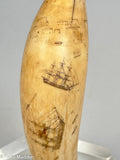 Coquimbo Harbour - Antique Scrimshaw Tooth by Frederick Myrick