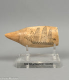 Antique Scrimshaw Tooth "The Navigator"
