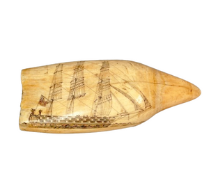 Antique Scrimshaw Tooth "The Navigator"