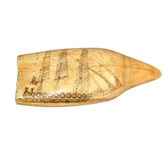 Antique Scrimshaw Tooth 