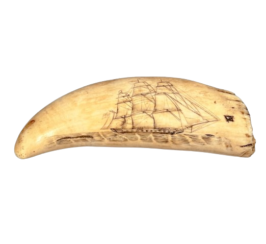 Antique Scrimshaw Tooth Ship & Whales