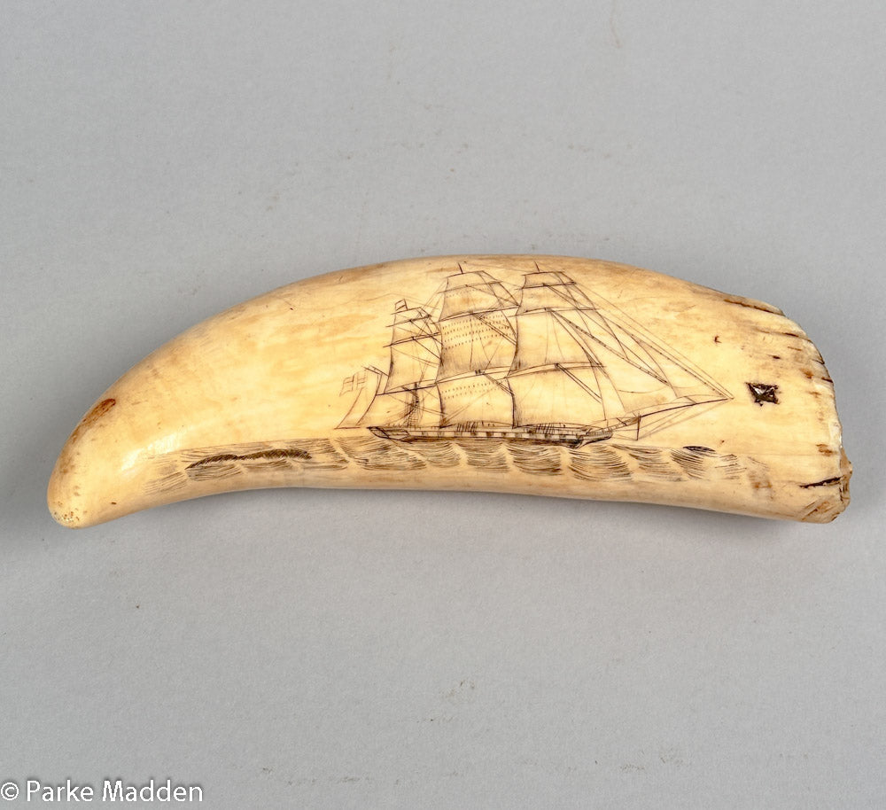 Antique Scrimshaw Tooth Ship & Whales – Paul Madden Antiques