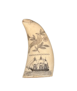 Antique Scrimshaw Tooth with Bird, Ship, and Woman
